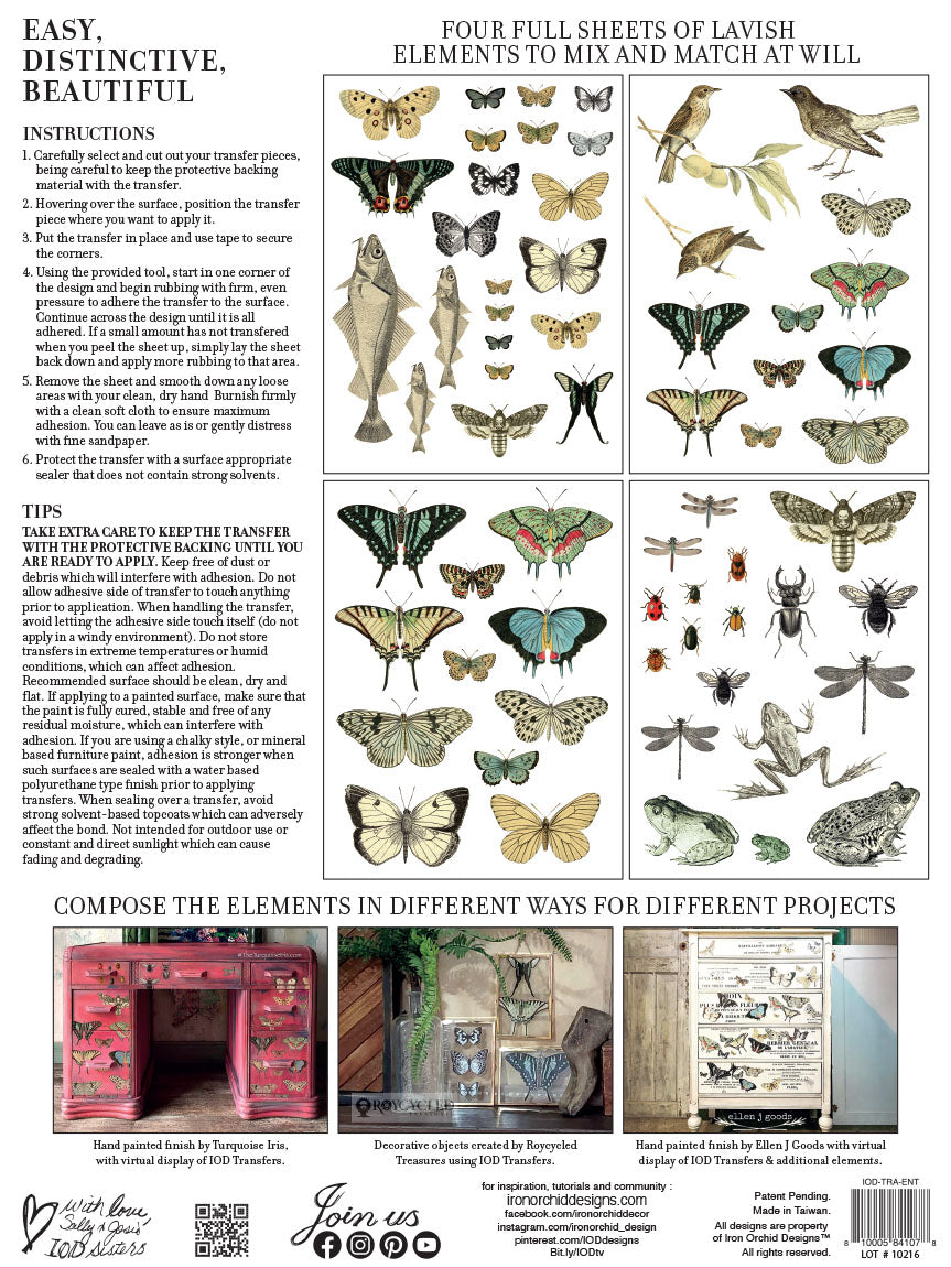 Entomology Etcetera (sheets)