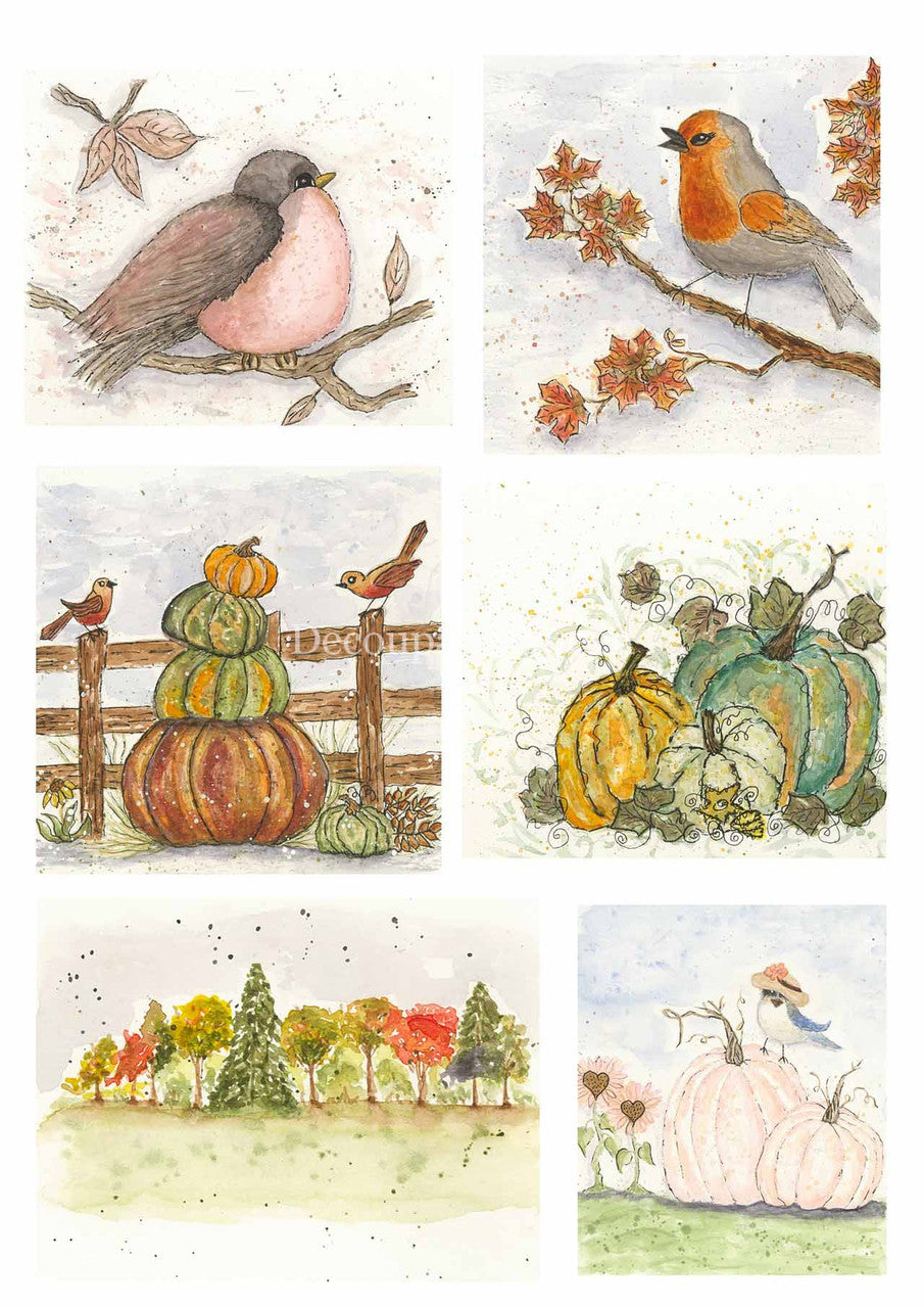 Old to Ooh La La-Fall Birds