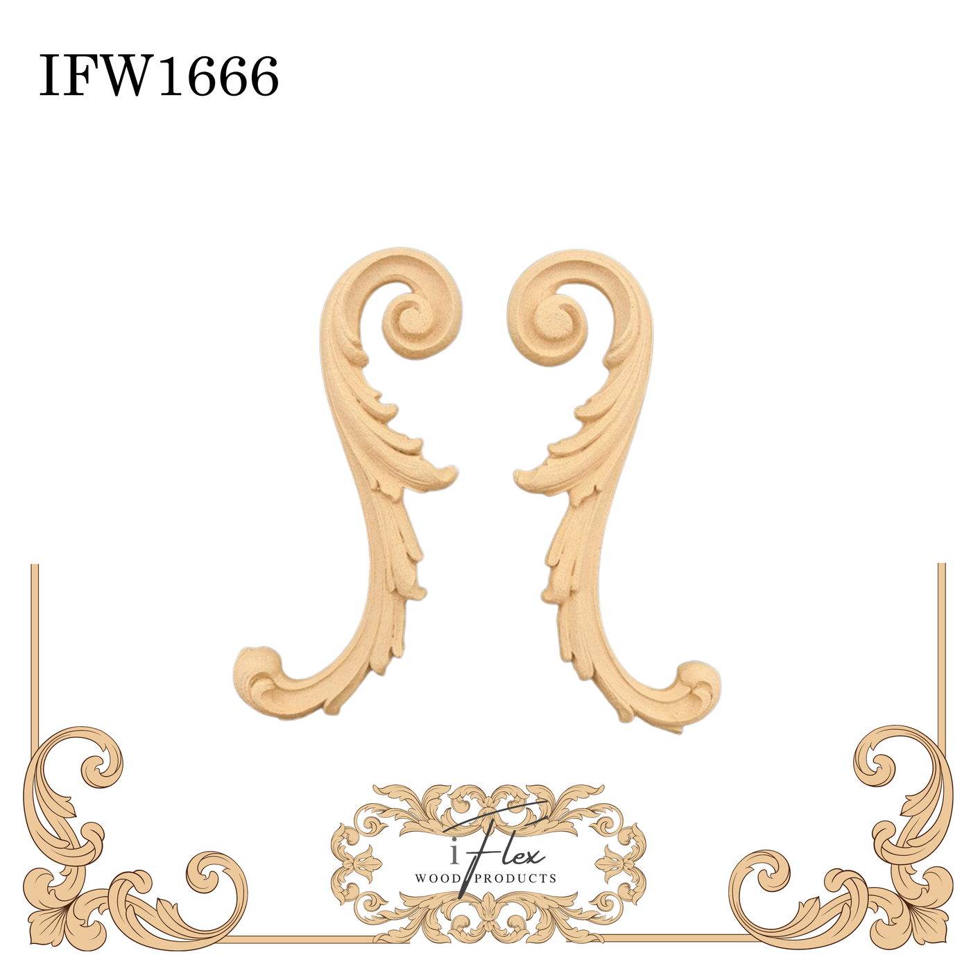 IFW 1666