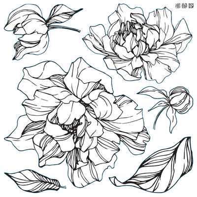 Peonies