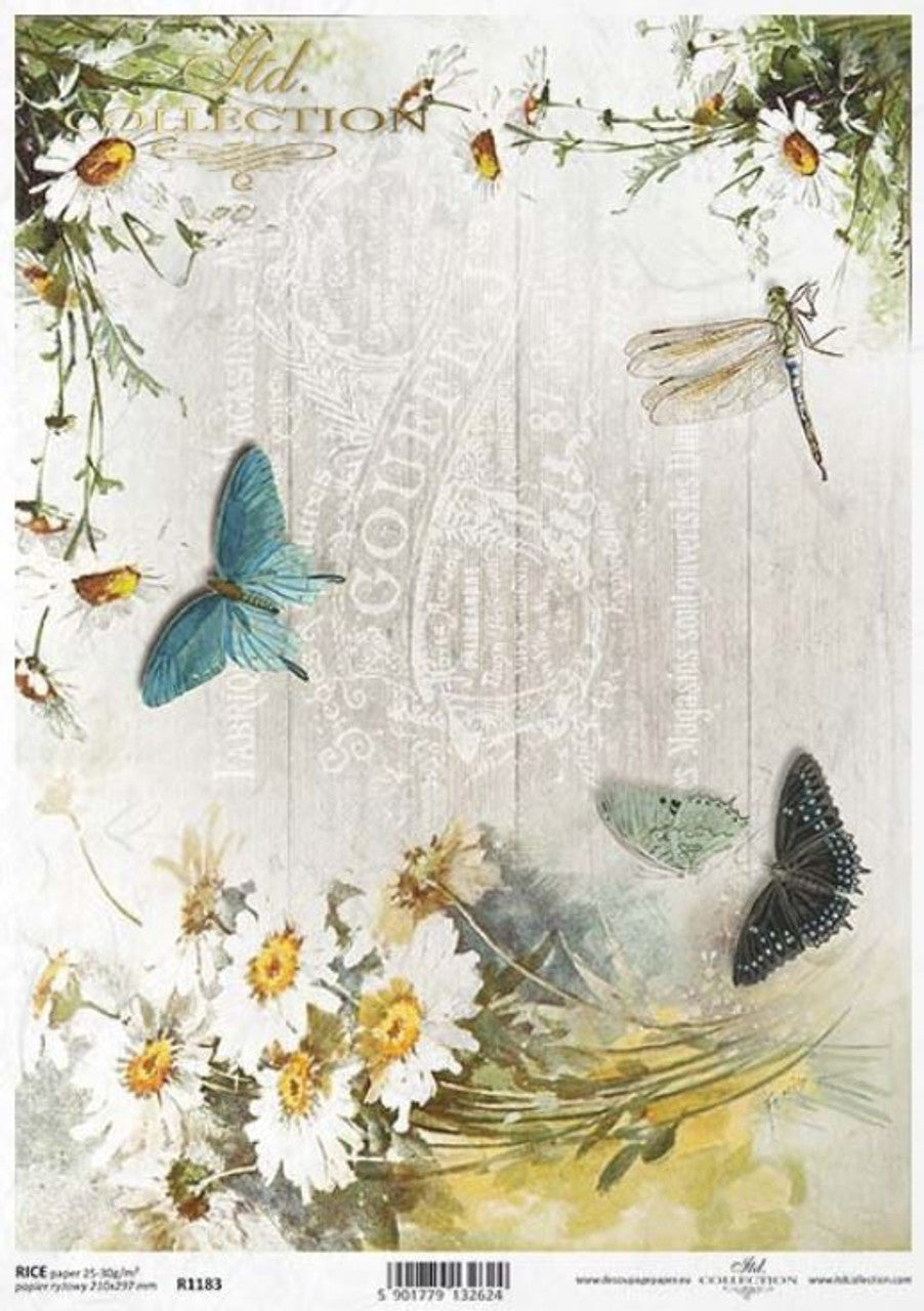 Butterfly & Daisies - R1183
