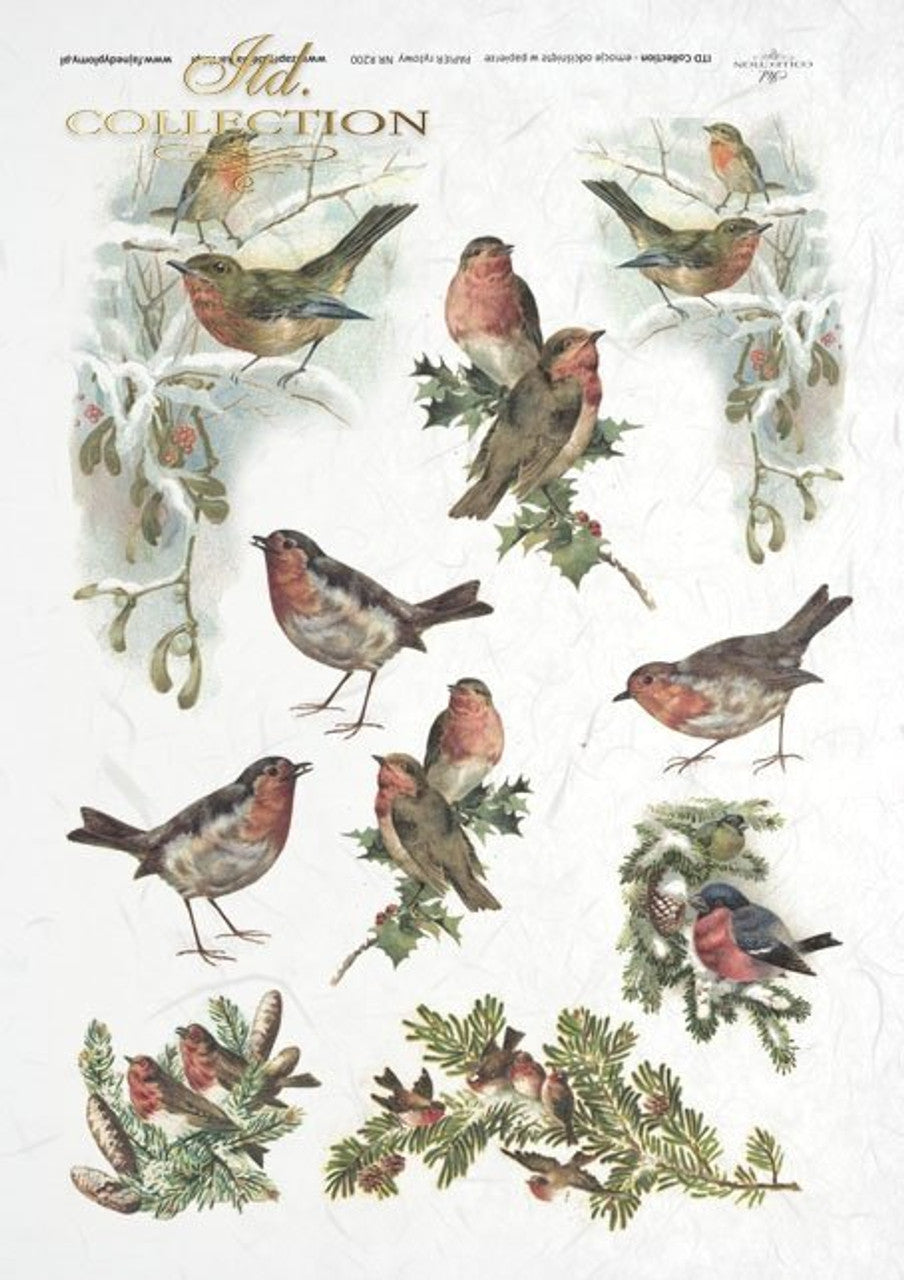 ITD - Winter Birds - R0200