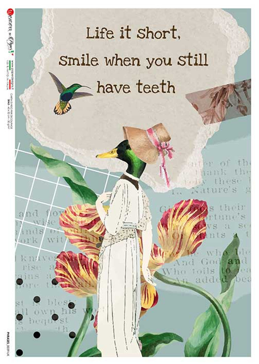 Paper Designs-Smile While You Have Teeth-Phrases 0039