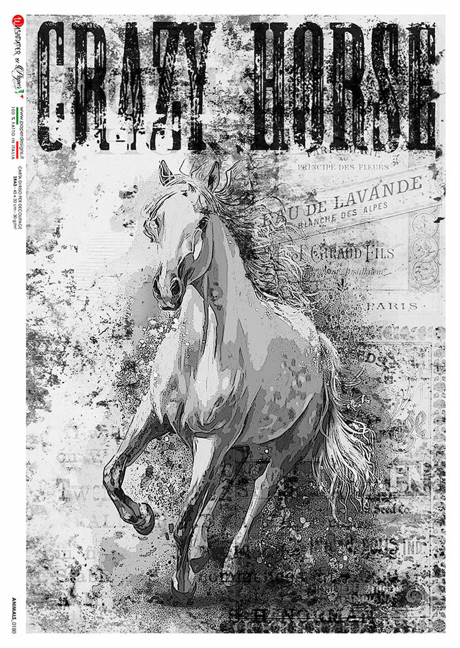 Paper Designs - Crazy Horse II