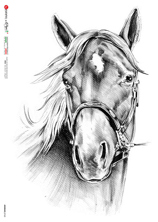 Paper Design - Animals - 0165