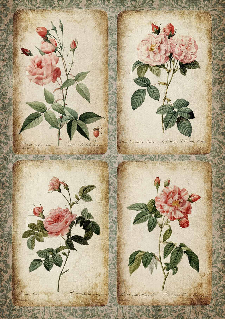 Decoupage Queen-Rose Cards