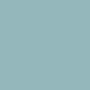 CP-Sea turtle