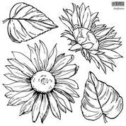 Sunflower Stamp