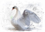 White Swan Decoupage Paper