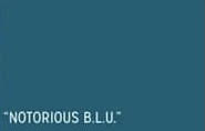 Ce-Ce Re-Style - Notorius B.L.U.